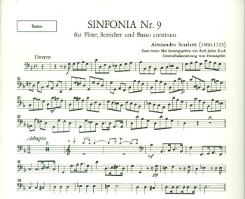 Sinfonia g-Moll Nr.9 für Flöte, Streicher und Bc