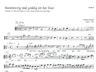 Barmherzig und gnädig ist der Herr für gem Chor, Streicher und Orgel