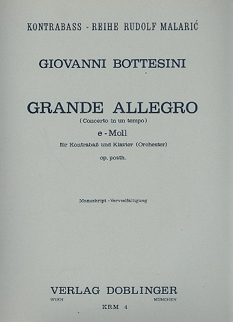 Grande allegro concerto in uno tempo e-moll