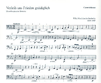 Verleih uns Frieden gnädiglich Choralkantate für Chor und Orchester