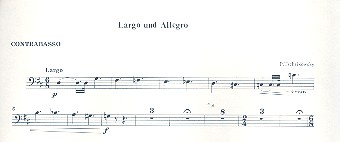 Largo und Allegro für Flöte und Streicher