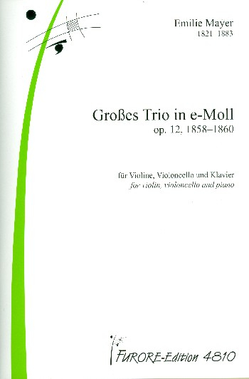 Großes Trio e-Moll op.12 für Violine, Violoncello und Klavier