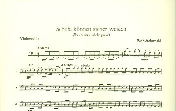 Schafe können sicher weiden BWV208 für Orchester